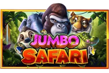 jogo008